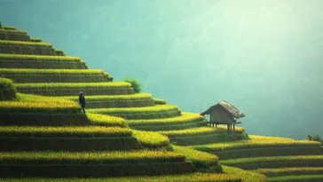 Sprachreisen nach Asien