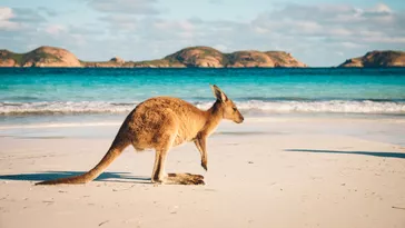 Sprachreisen Australien